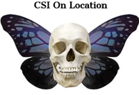 CSI On Location Logo